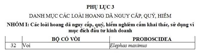 Xử phạt nặng với hành vi buôn bán ngà voi