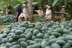 Động thái mới từ Trung Quốc, Việt Nam buộc phải đổi cách chơi