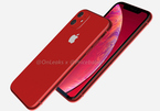 Hình ảnh mới nhất về iPhone XR 2019 giá rẻ