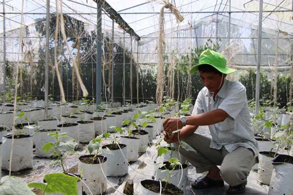 Mekong farmers prosper with organic farming