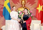 Sweden: from supporter to partner of Vietnam for five decades