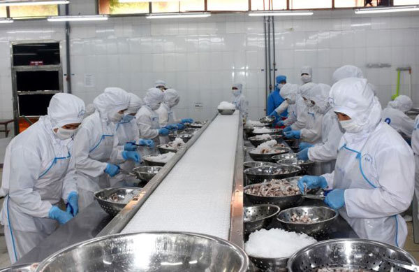 VN seafood processing companies lacks skilled labourers