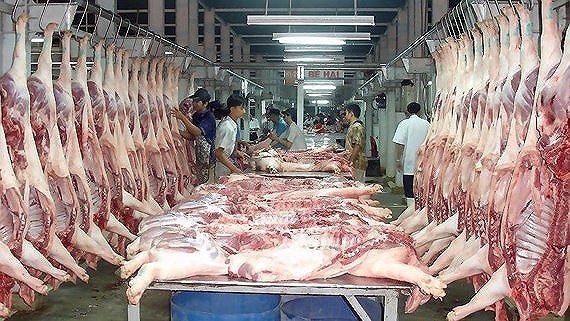 HCM City plans to reserve pork, poultry as ASF virus spreads fast