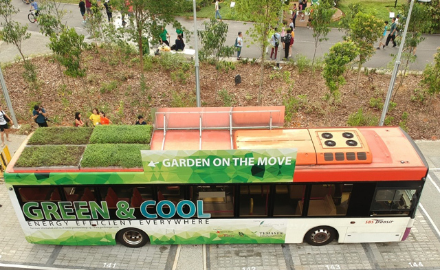 Thú vị xe buýt có thảm cỏ xanh mướt trồng trên nóc