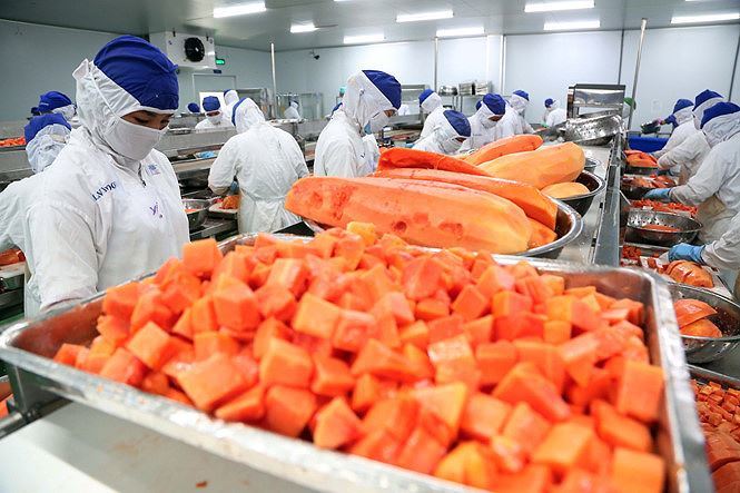 Xuất khẩu sang Trung Quốc bị kiểm soát chặt, cần lưu ý điều này