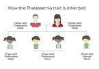 Pre-marriage blood testing can stop inherited blood disorder