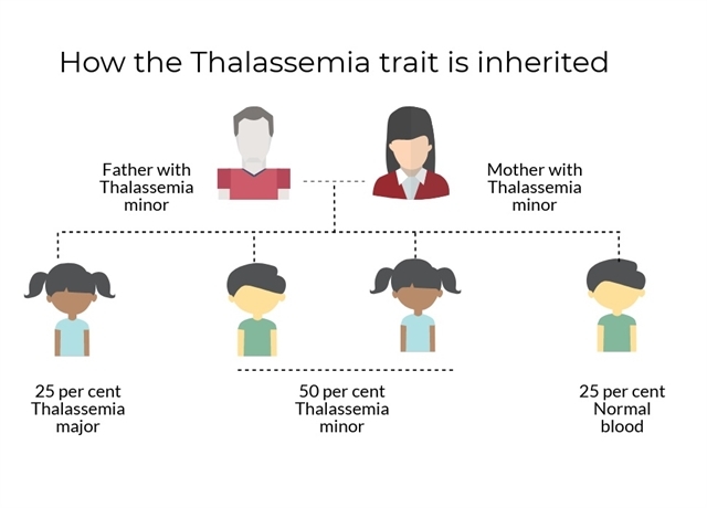 Pre-marriage blood testing can stop inherited blood disorder