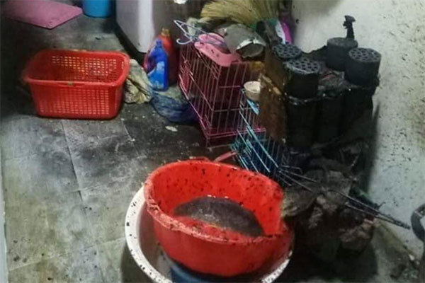 Sốc: Đun bếp than tổ ong trong chung cư để xảy ra sự cố khiến nhiều người hốt hoảng bỏ chạy