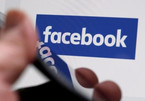 Facebook, Google tax evasion has to stop: minister