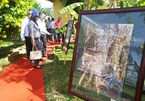 Exhibition features Nha Trang swiftlet breeding