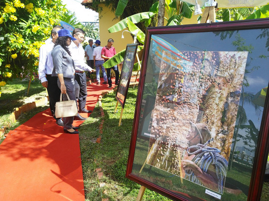 Exhibition features Nha Trang swiftlet breeding