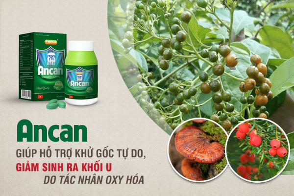 Các thảo dược tốt cho bệnh nhân u bướu