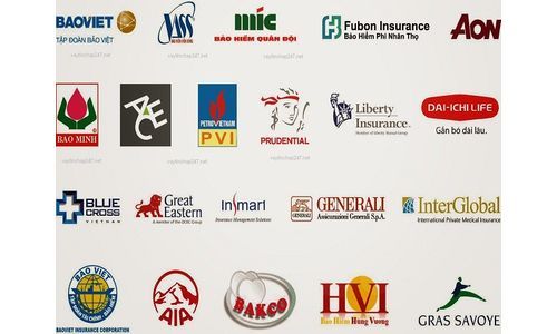 Vietnam insurance market grows 17% in 4 months