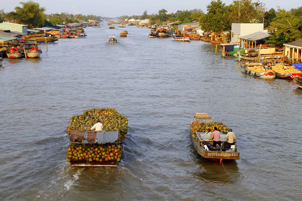 ‘Cây cầu dừa’ nối nhịp giao thương ở TP. HCM