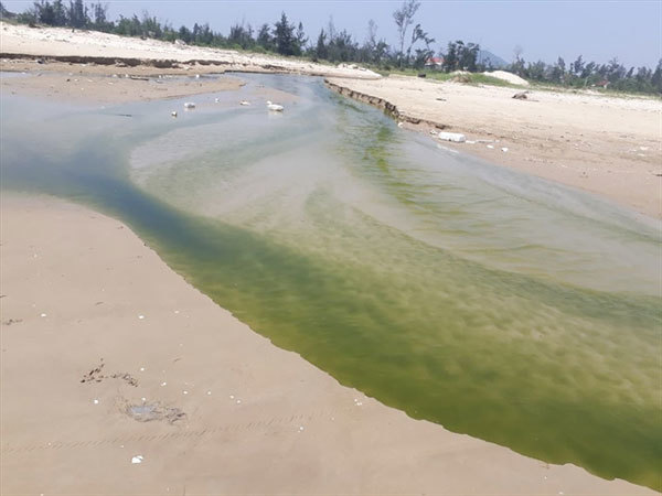 Ha Tinh communities polluted by waste from shrimp ponds