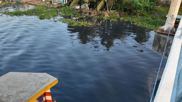 Hau Giang Province's Cai River polluted by sugarcane factory