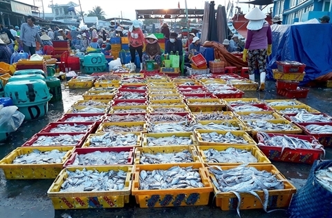 Vietnam aquaculture has room to improve: Agriculture Ministry