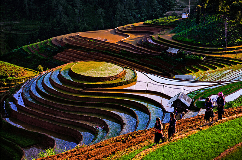 Vietnam’s northwest region enters pouring-water season