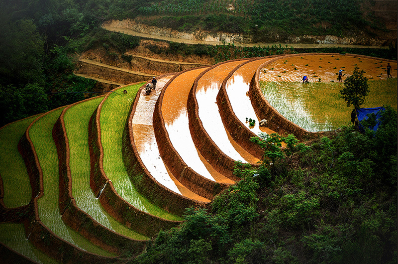 Vietnam’s northwest region enters pouring-water season
