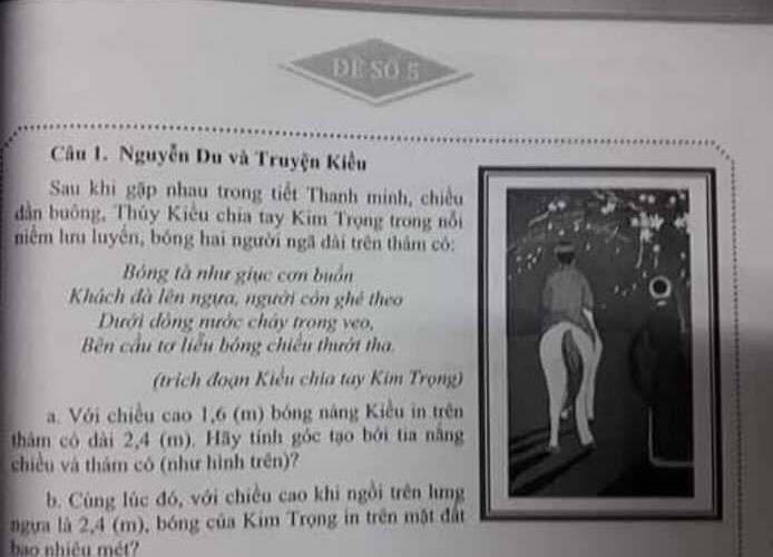 'Truyện Kiều' vào đề Toán, học sinh phải tính bóng của Kim Trọng in trên mặt đất