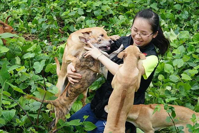 Trang trại 'Khuyển vương' tiền tỷ của cô gái 8x Hà thành