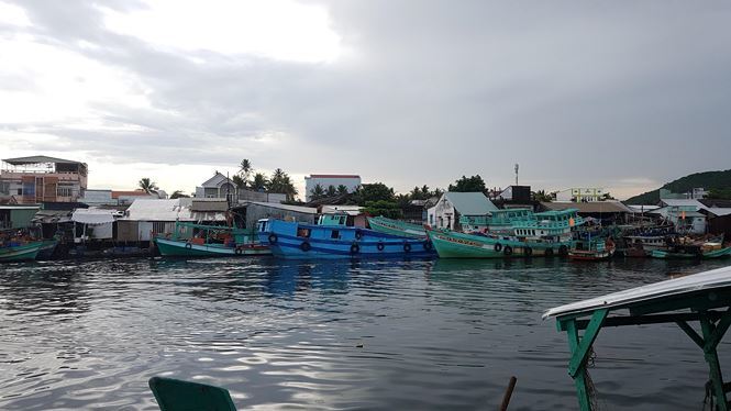 Pollution threatens Phu Quoc rivers