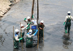Chuyên gia Nhật giữa trưa lội nước, sông Tô Lịch chờ đón điều bất ngờ
