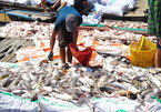 Sau nhà máy AB Mauri gây hôi khắp vùng, hàng chục tấn cá chết trắng sông