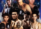 Vietnamese boxers to box at WBA Asia Championship