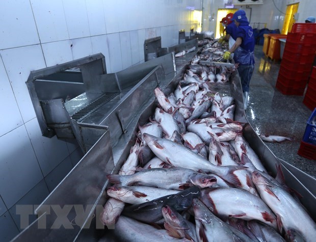 Tra fish shipments to US, China fall