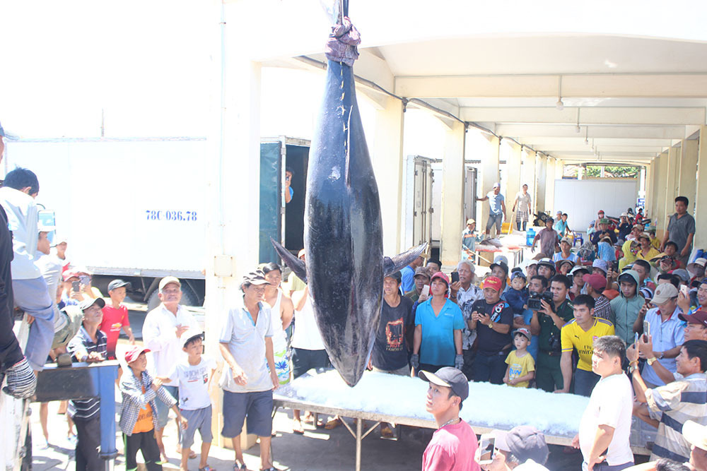 Vietnamese fishermen join hands to overcome EU yellow card