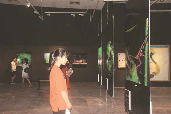 Exhibition zooms in on world of insects