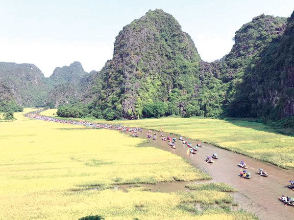 Festival features Tam Coc in golden rice fields