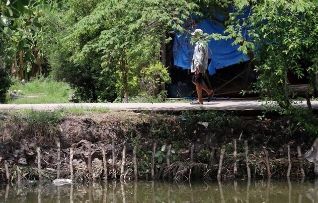 River erosion becomes dangerous in Kien Giang