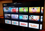 Legal framework needed to promote OTT media services