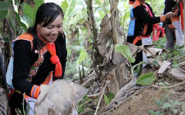 The seed of good deed from the highland zone