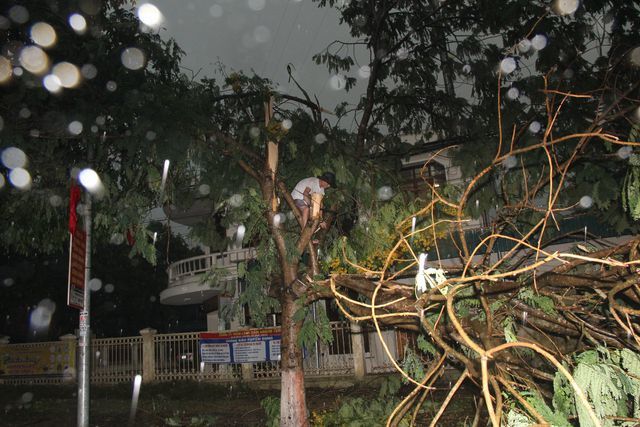 Torrential rain damages many houses, uproot trees in central Vietnam