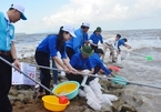 Various environmental activities to be held during Vietnam Seas and Island Week 2019