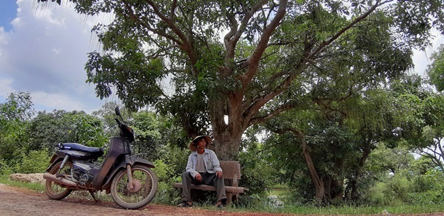 Ly kỳ khu rừng báu vật hơn 400 tuổi ở Quảng Bình