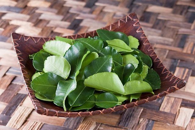 Lá chanh ở Việt Nam chỉ để ăn với thịt gà, sang châu Âu bán 6,3 triệu/kg