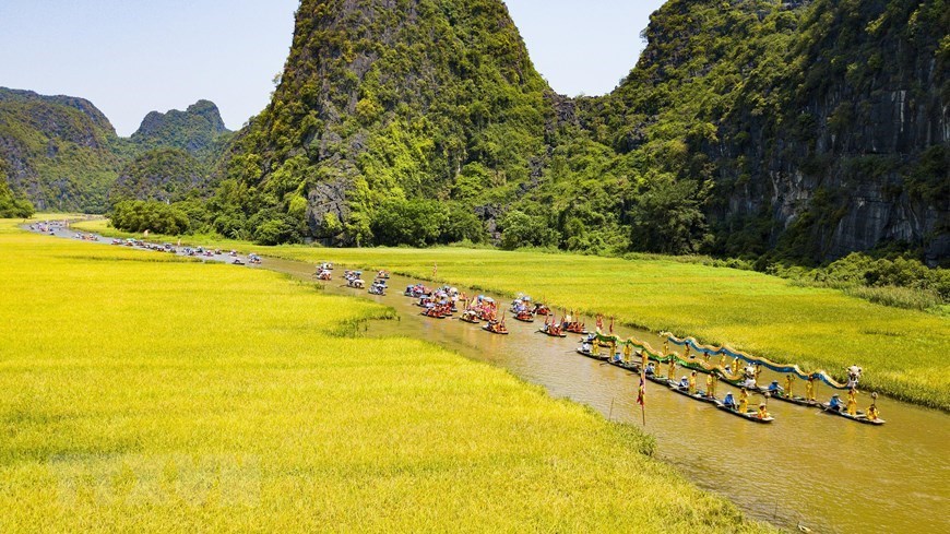 Alluring Tam Coc in ripe rice season