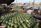 Cai Rang Floating Market