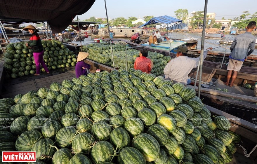 Cai Rang Floating Market