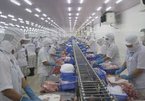 VASEP concerned over seafood exports to China amid yuan devaluation