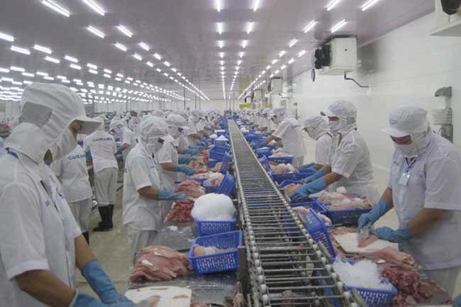 VASEP concerned over seafood exports to China amid yuan devaluation