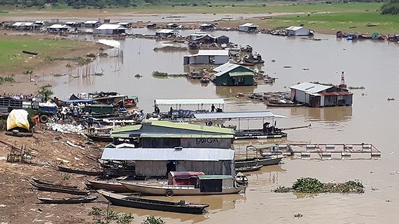 Farmers stricken with fish die-off in La Nga river