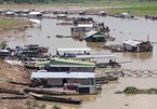 Farmers stricken with fish die-off in La Nga river