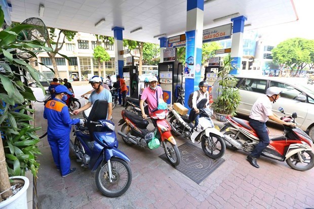 To curb petroleum prices, taxes, fees may need to be cut