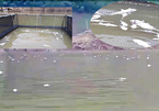 Cá chết trắng mặt hồ thủy điện Hủa Na ở Nghệ An
