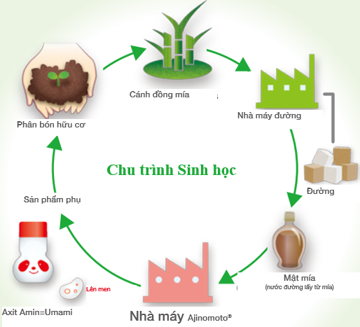 Cách doanh nghiệp Nhật Bản bảo vệ 'nguồn vốn tự nhiên'